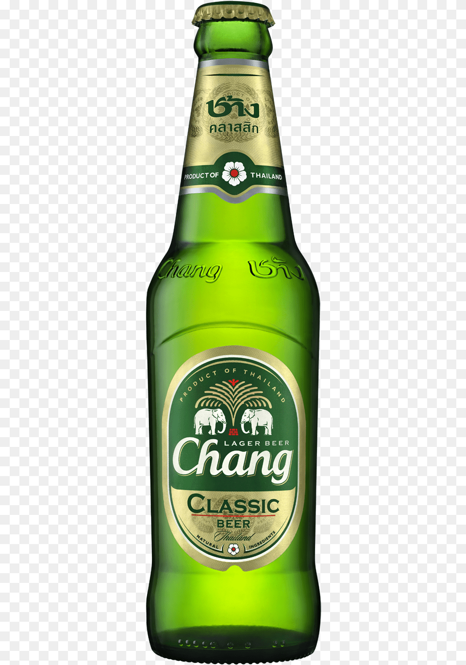Beer Images Beer Pictures Download Chang Beer, Alcohol, Beer Bottle, Beverage, Bottle Free Png