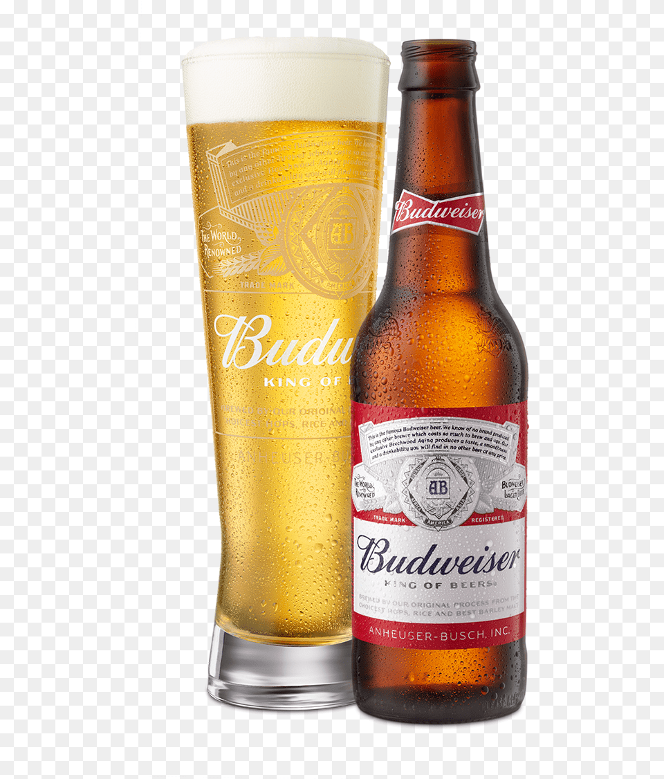 Beer Poured In Glass Next To Bottle Beer Ad, Alcohol, Beverage, Lager, Beer Bottle Free Png