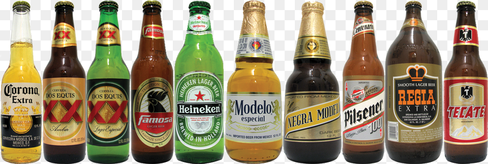 Beer Regia De El Salvador, Alcohol, Beer Bottle, Beverage, Bottle Png