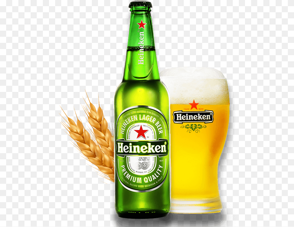 Beer World Store Heineken Bottle Vector, Alcohol, Beer Bottle, Beverage, Lager Png Image