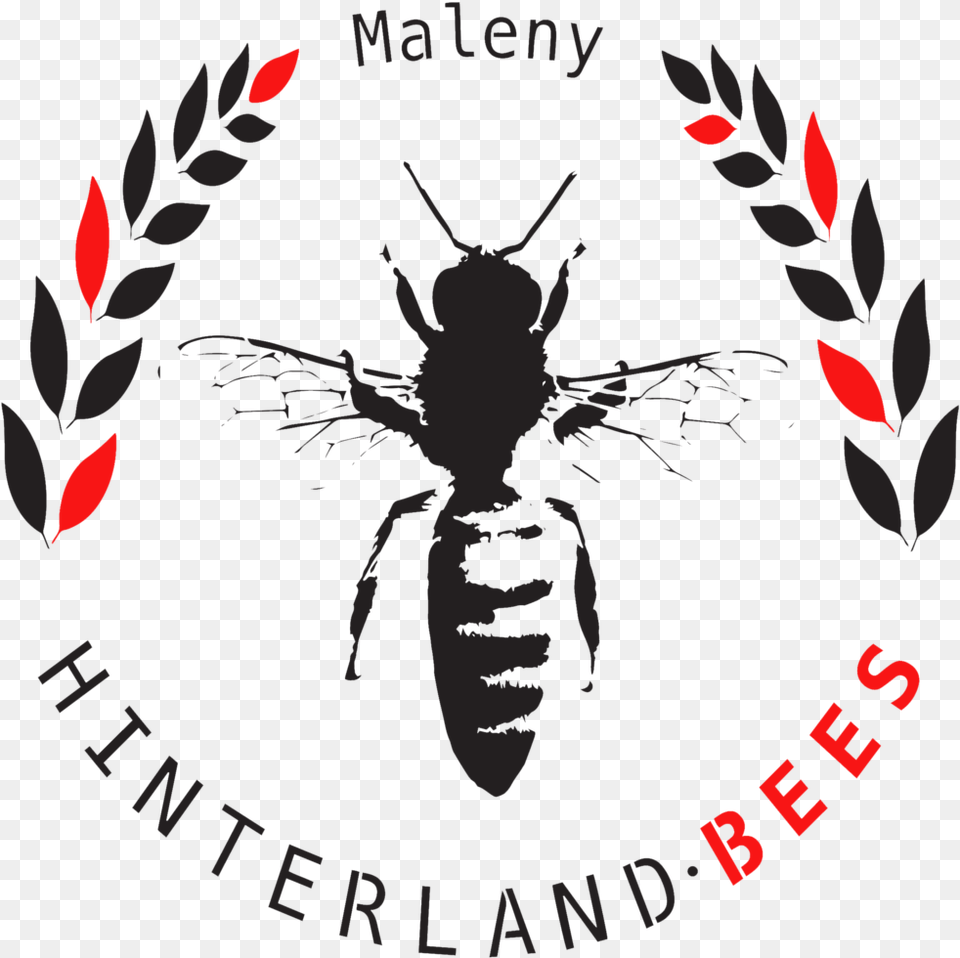 Bees, Animal, Bee, Insect, Invertebrate Png