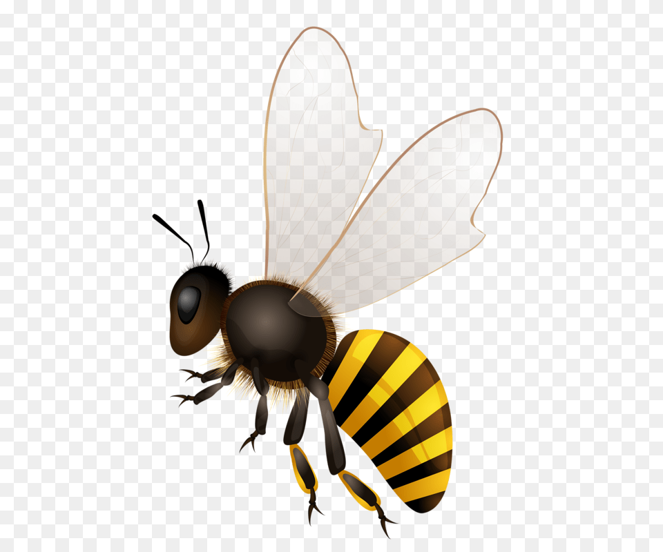 Bees Bee Bee Art, Animal, Insect, Invertebrate, Wasp Free Transparent Png