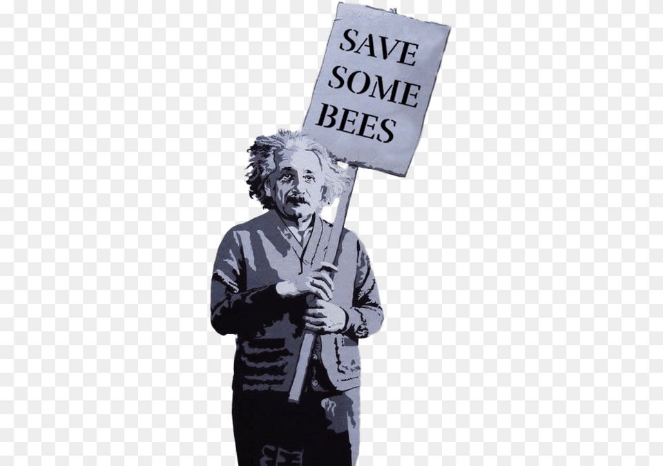 Bees Beeyond Einstein Love Is The Answer Art, Adult, Male, Man, Person Png