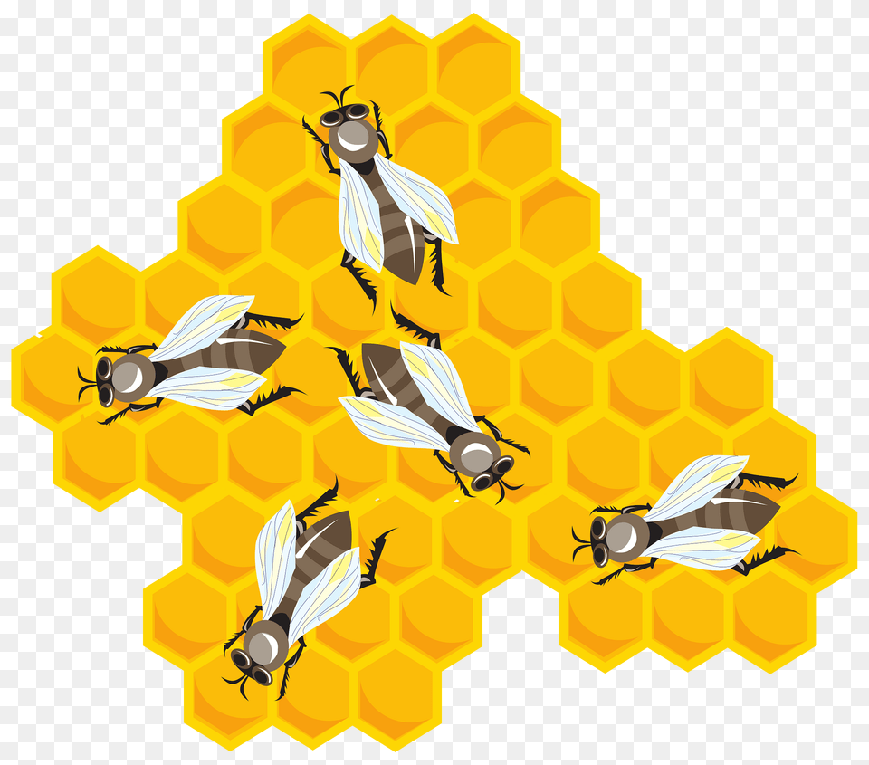 Bees Clipart, Animal, Bee, Honey Bee, Invertebrate Free Png Download