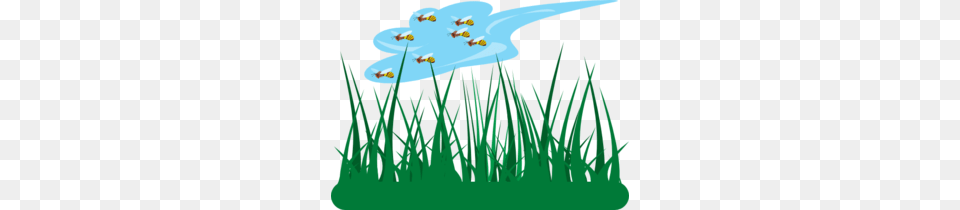 Bees Clipart Grass, Plant, Water, Aquatic, Green Free Png Download