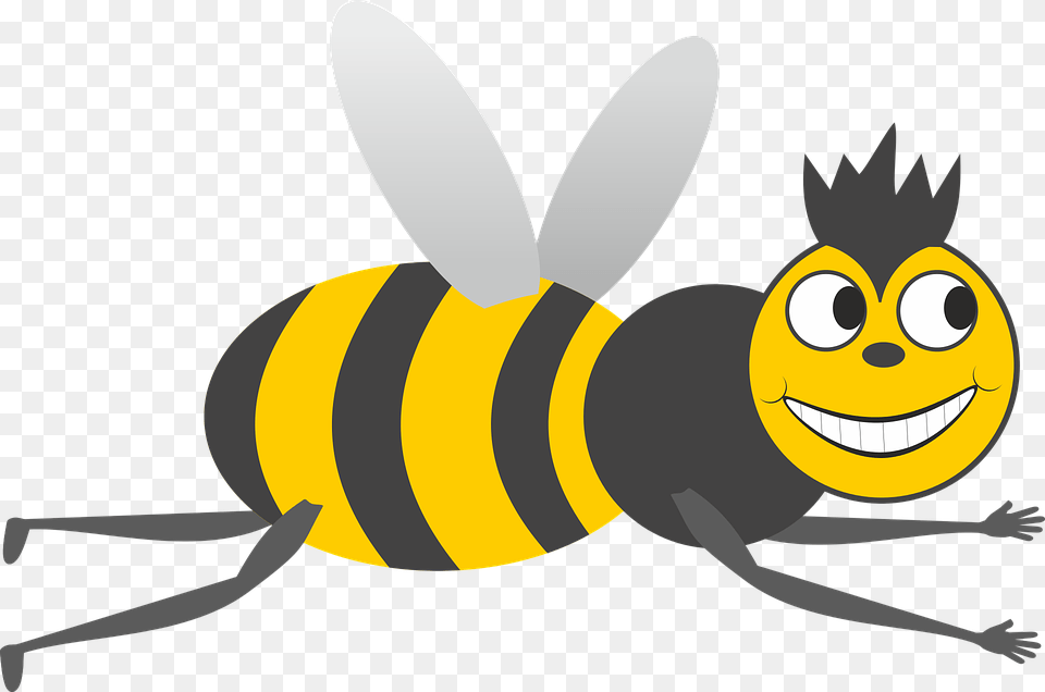 Bees Knees Clipart, Animal, Bee, Honey Bee, Insect Free Png