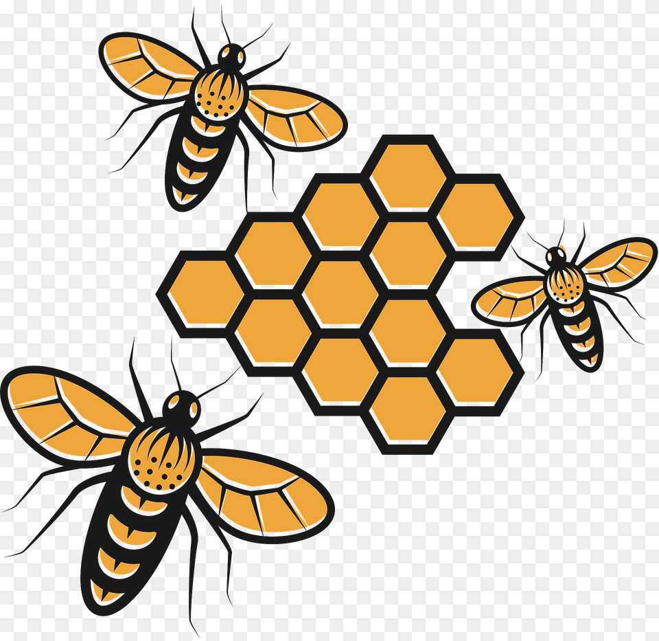 Bees Making Honey Clipart, Animal, Bee, Insect, Invertebrate Png