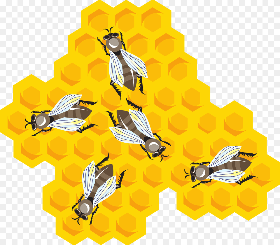 Bees On Honeycomb Clipart, Animal, Bee, Honey Bee, Invertebrate Free Transparent Png