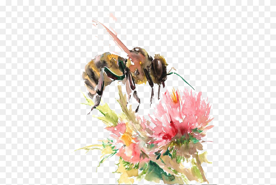 Bees Watercolor Honey Bee On Flower Drawing Bee And Flower Watercolor, Animal, Honey Bee, Insect, Invertebrate Png