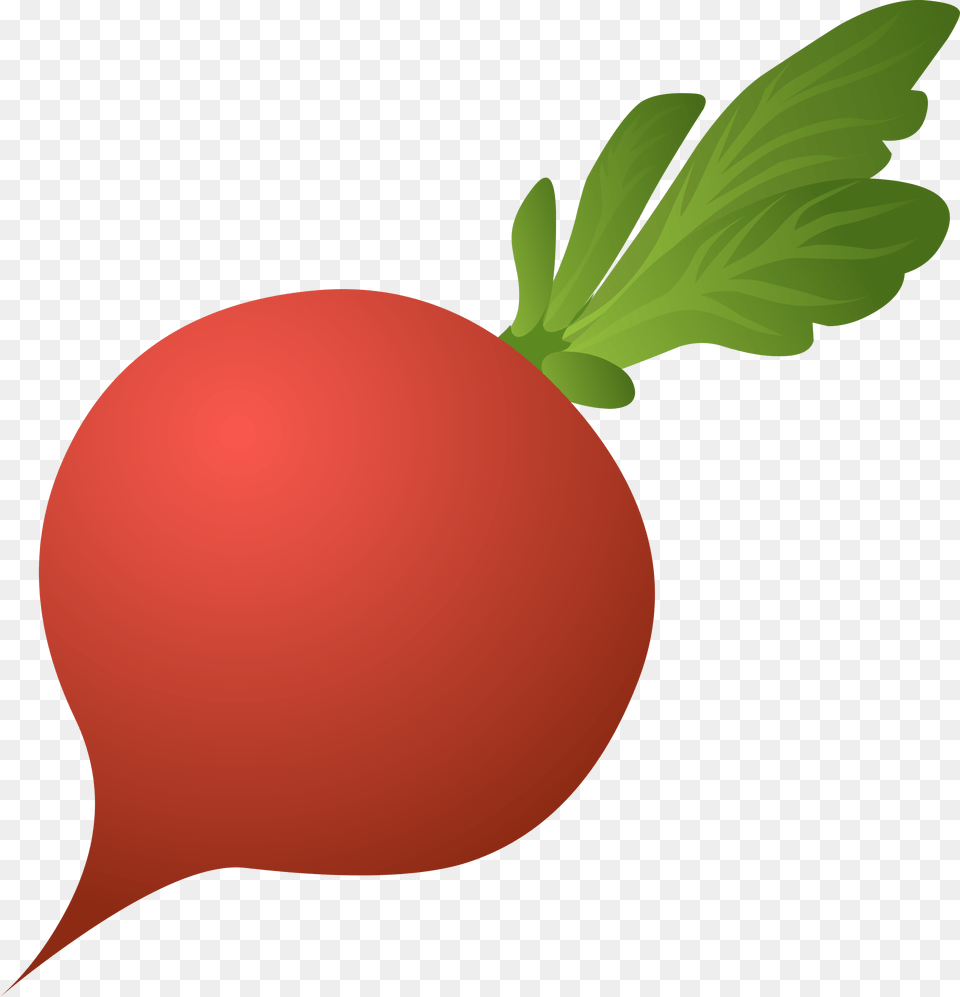 Beet, Food, Produce, Plant, Radish Png