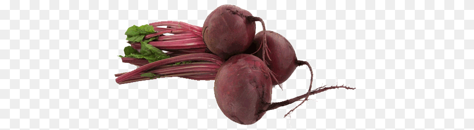 Beet, Food, Produce, Plant, Turnip Png Image