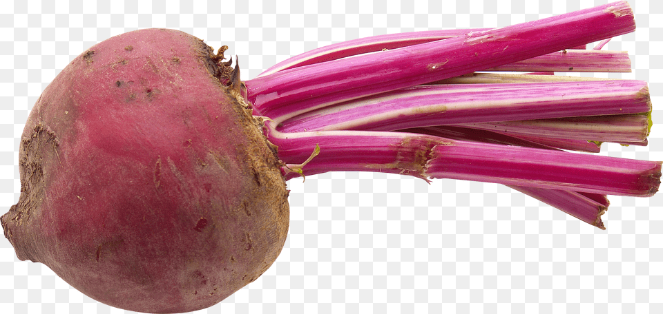 Beet, Food, Produce, Plant, Rutabaga Free Png