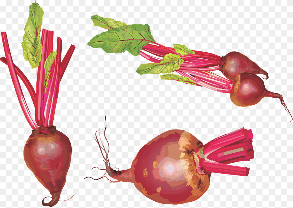 Beet, Food, Produce, Plant, Turnip Free Transparent Png