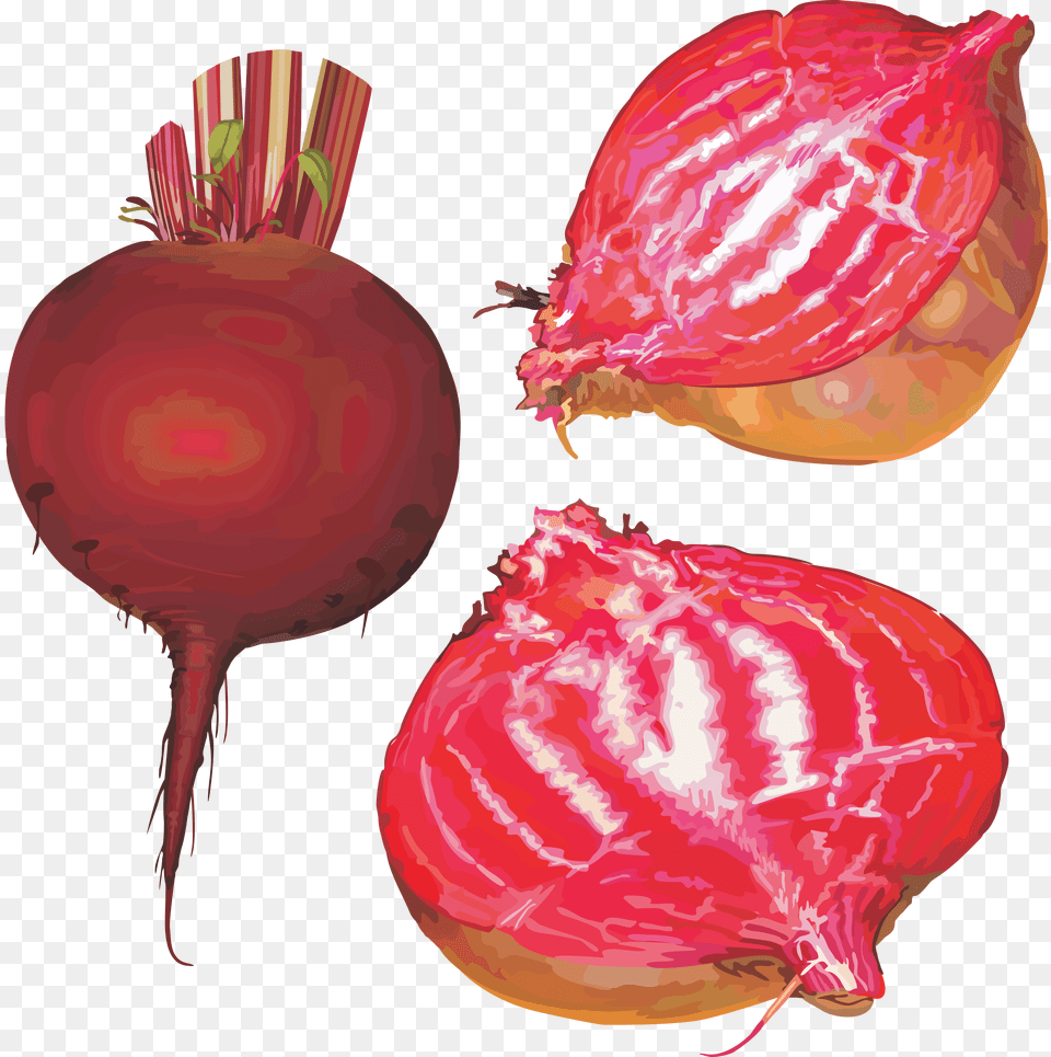 Beet, Food, Produce Png Image