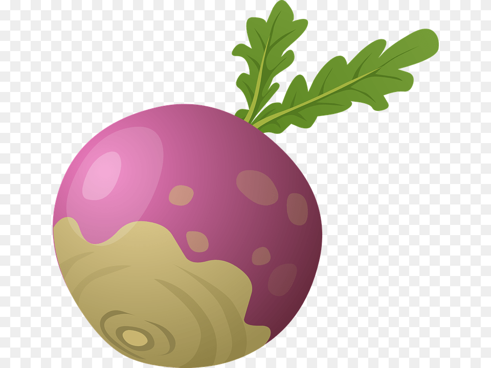 Beet, Food, Produce, Plant, Turnip Free Png