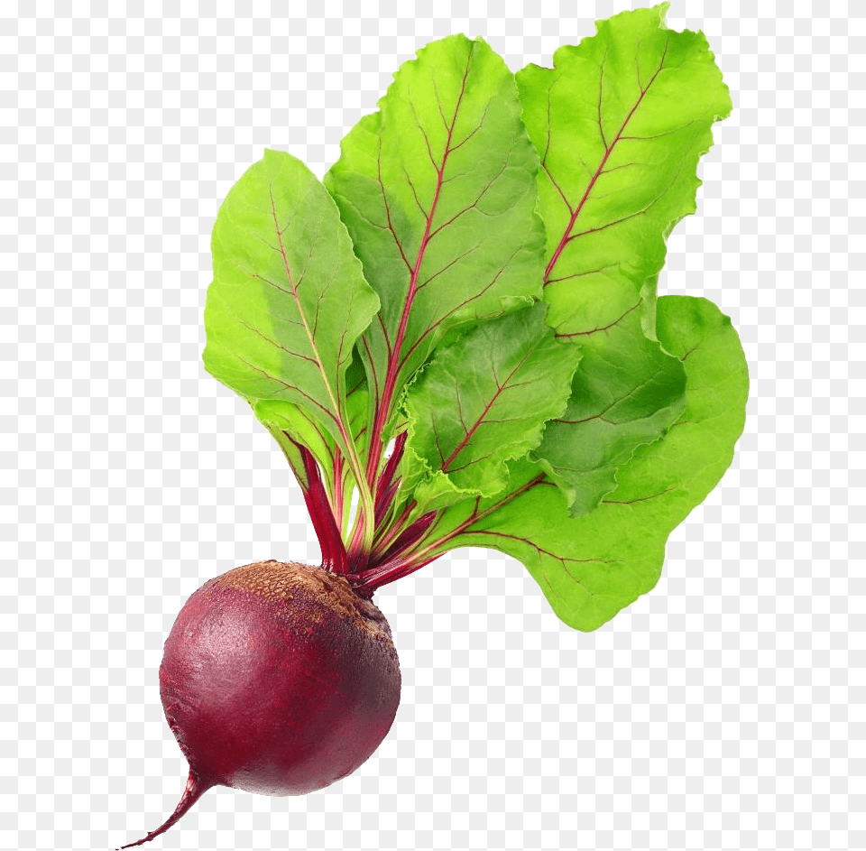 Beet, Plant, Food, Produce, Fruit Free Png Download