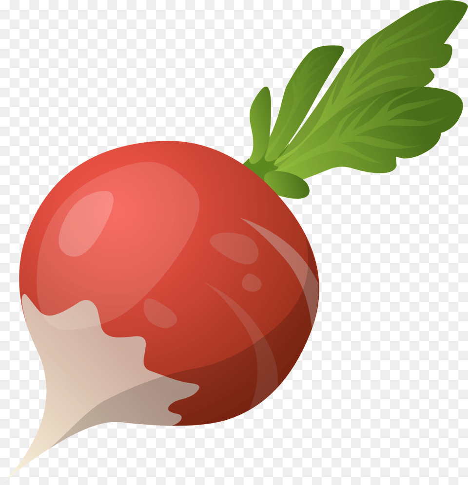 Beet, Food, Plant, Produce, Radish Free Transparent Png