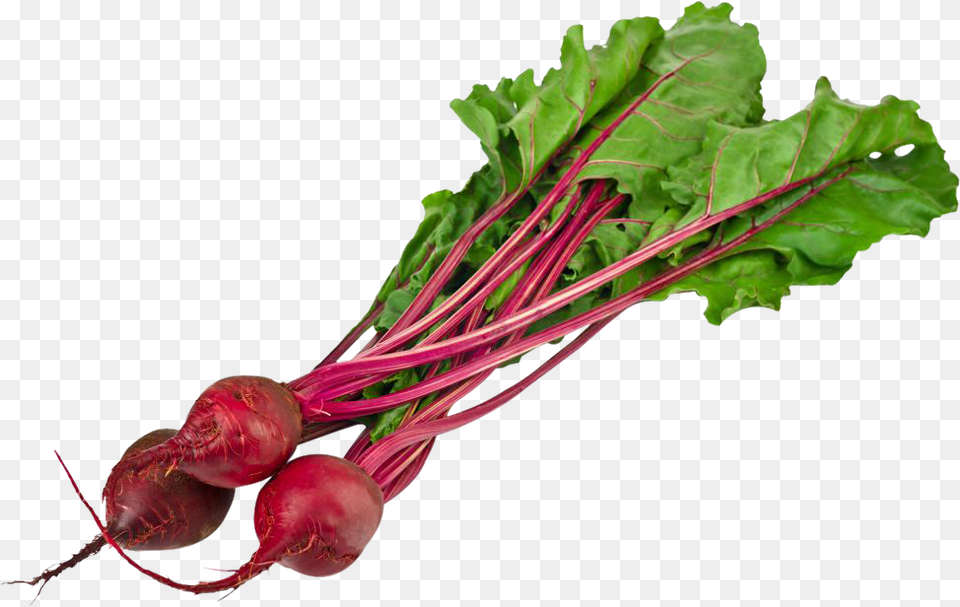 Beet, Food, Produce, Plant Free Png