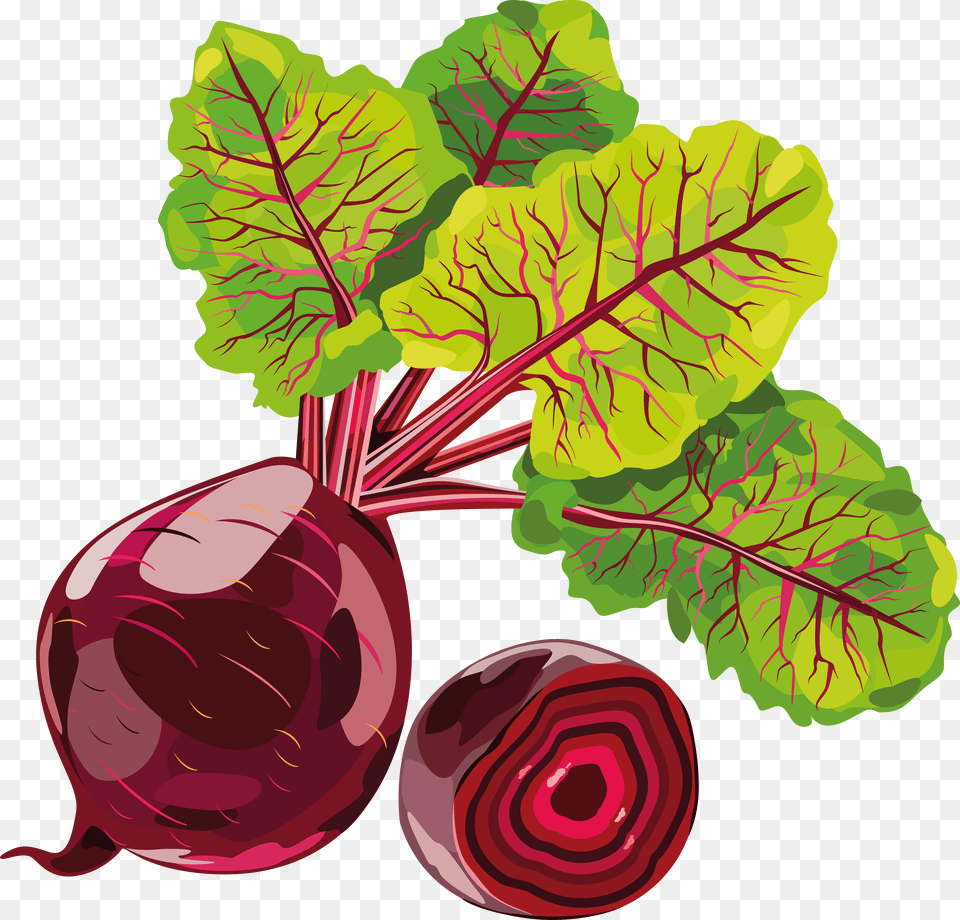 Beet, Food, Produce, Dynamite, Weapon Free Png