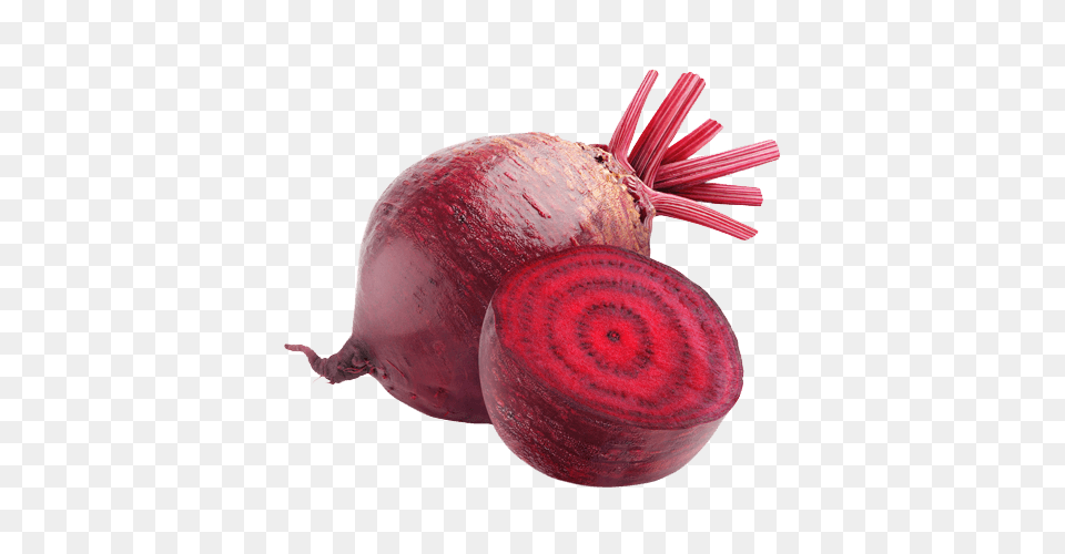 Beet, Food, Produce, Animal, Insect Free Transparent Png