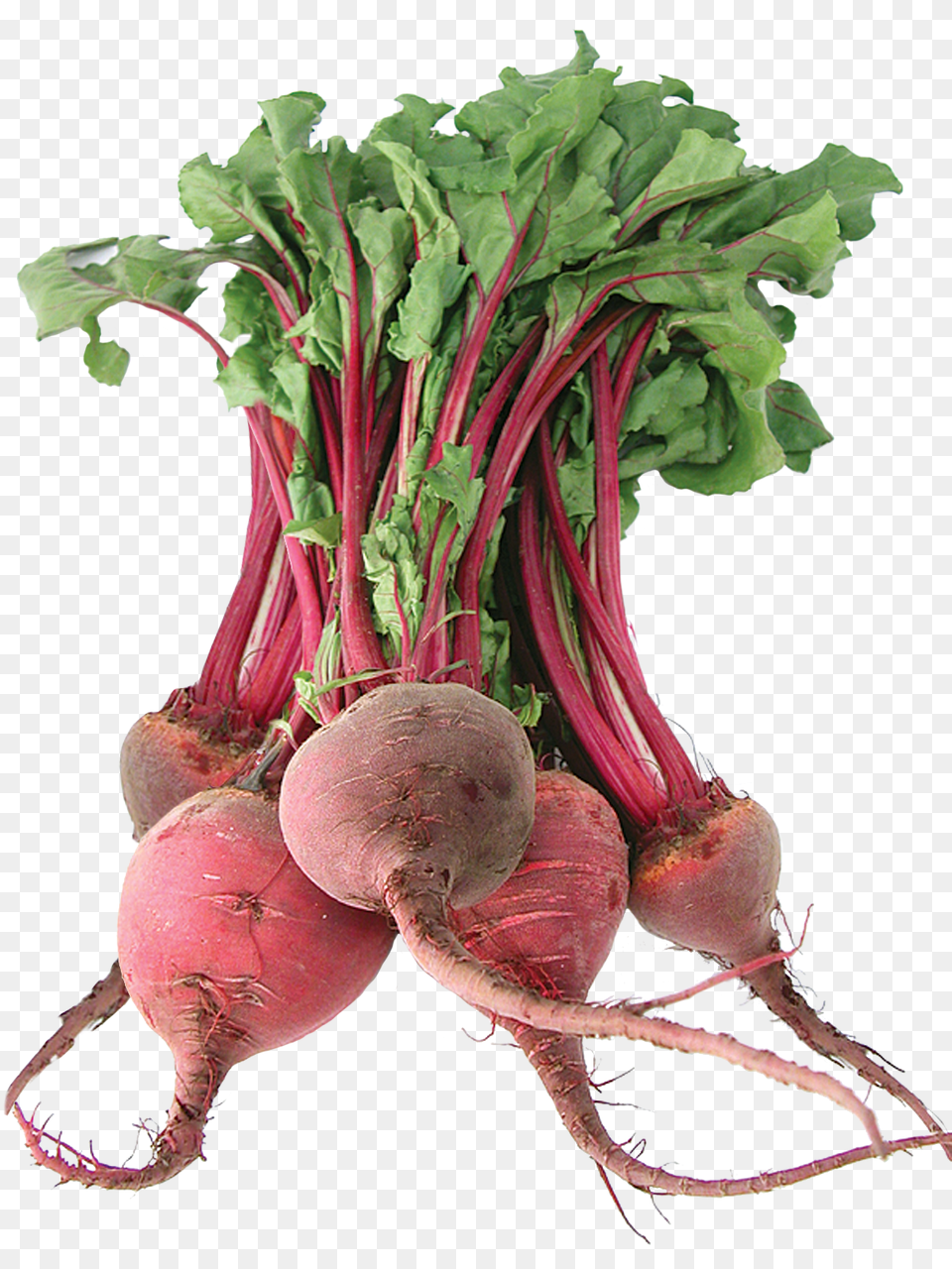 Beet, Food, Plant, Produce, Turnip Png