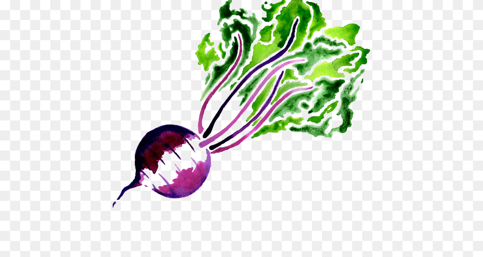 Beet, Food, Produce, Plant, Turnip Free Transparent Png