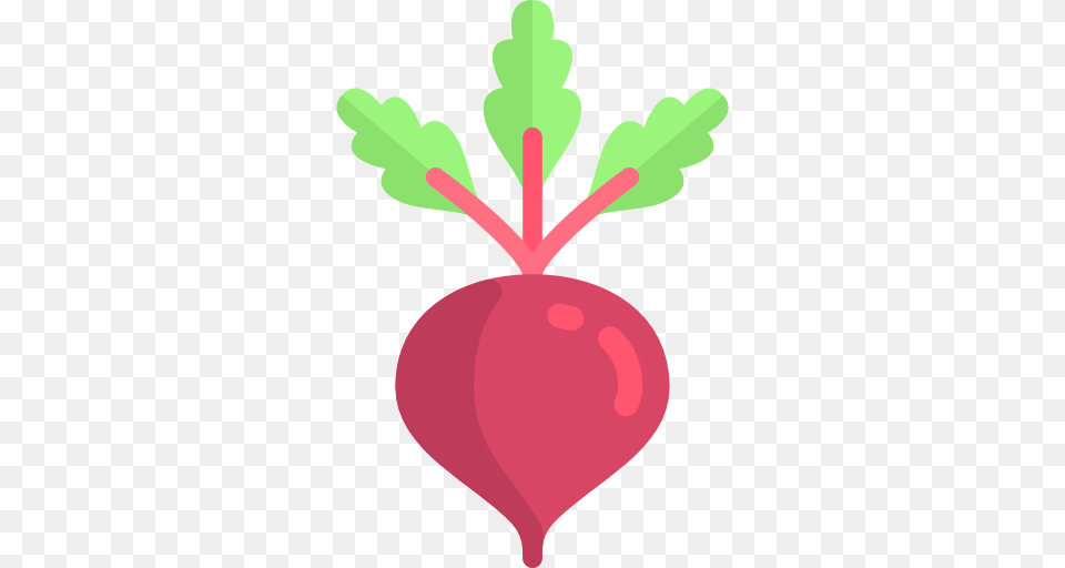 Beet, Food, Plant, Produce, Radish Free Transparent Png