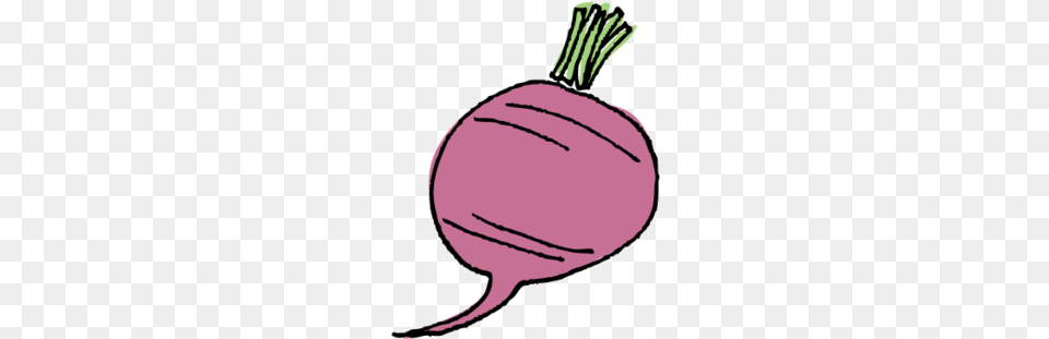 Beet, Food, Produce, Vegetable, Turnip Free Png Download