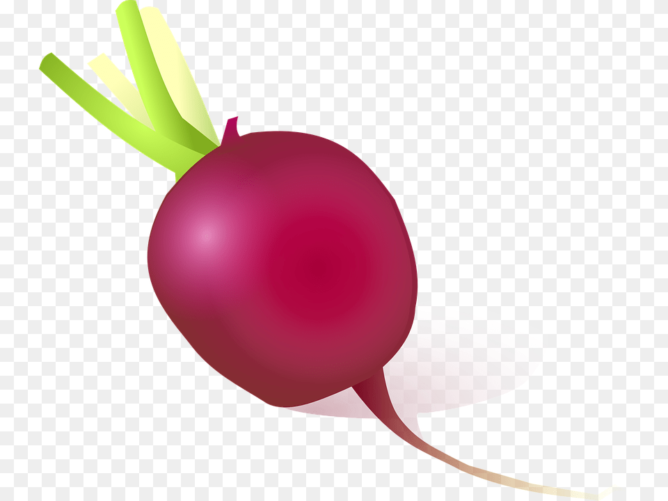 Beet, Food, Plant, Produce, Radish Png