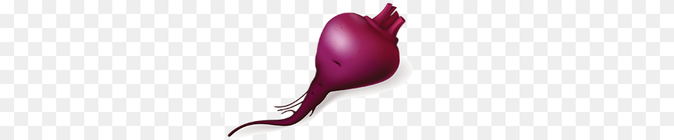 Beet, Purple, Appliance, Blow Dryer, Device Png Image