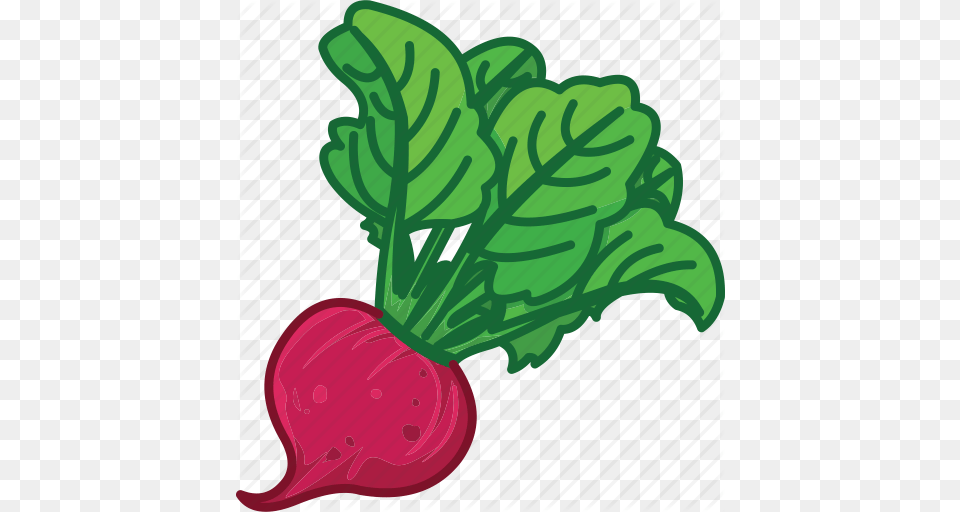 Beet Beet Juice Beet Root Beet Salad Vegetables Icon Icon, Food, Produce, Plant, Radish Png Image