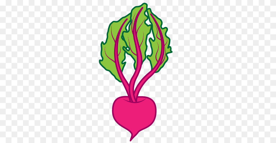 Beet Clipart Nice Clip Art, Food, Produce, Plant, Radish Free Png Download