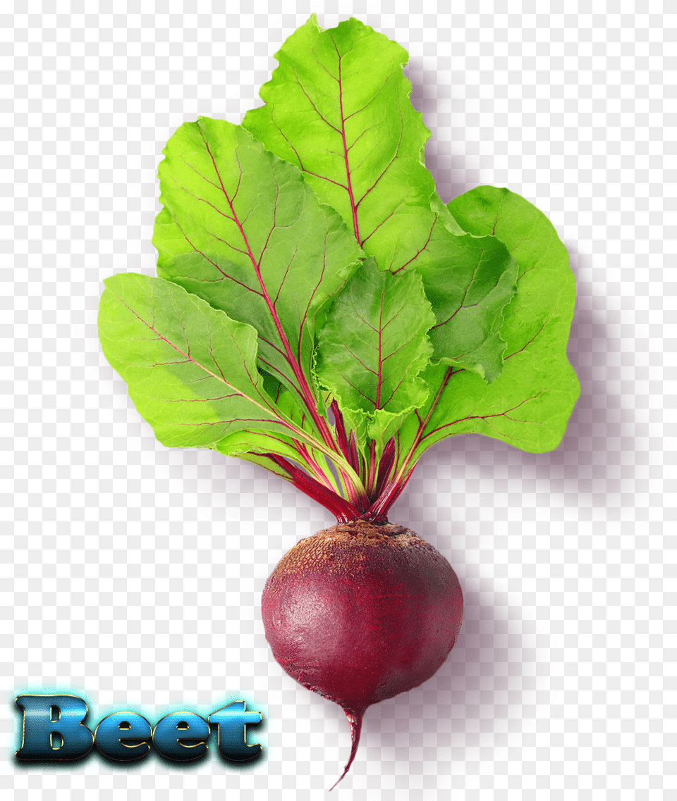 Beet Download Beetroot, Plant, Food, Produce, Radish Png Image
