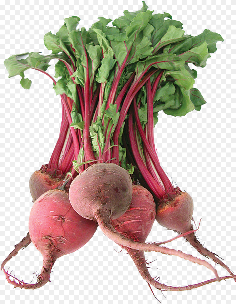 Beet Fresh Beetroot, Food, Plant, Produce, Turnip Png