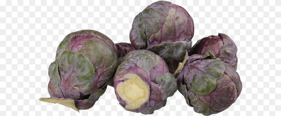 Beet Greens, Food, Produce, Brussel Sprouts, Plant Png