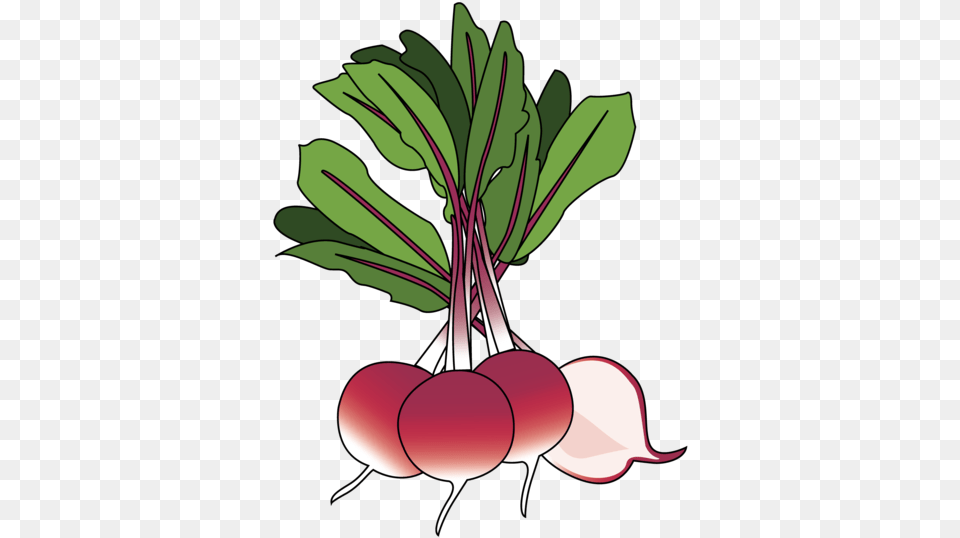 Beet Greens, Food, Produce, Plant, Radish Png