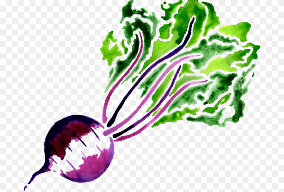 Beet Image Portable Network Graphics, Plant, Food, Produce Free Png