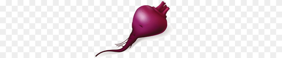 Beet Image Without Background Web Icons, Food, Produce, Appliance, Blow Dryer Free Transparent Png