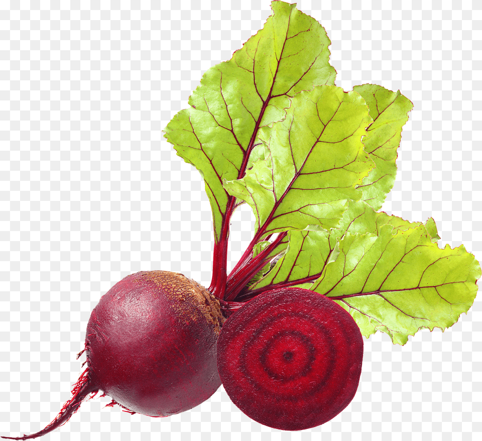 Beet Images Download Free Png