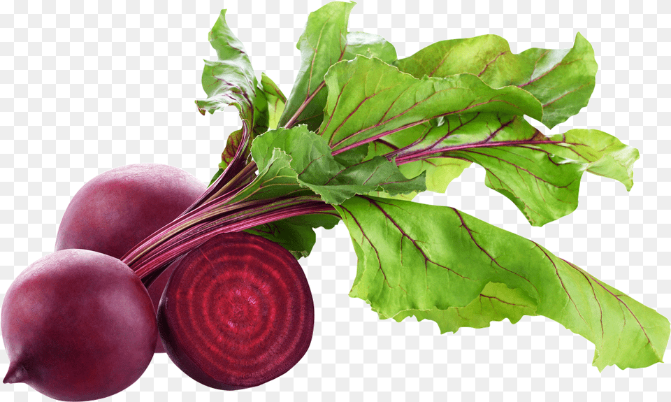 Beet Root, Plant, Food, Produce Free Transparent Png