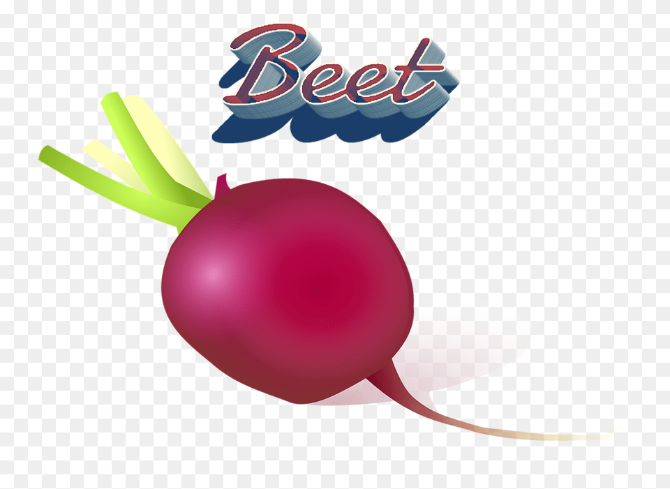 Beet Transparent Images, Food, Plant, Produce, Radish Png Image