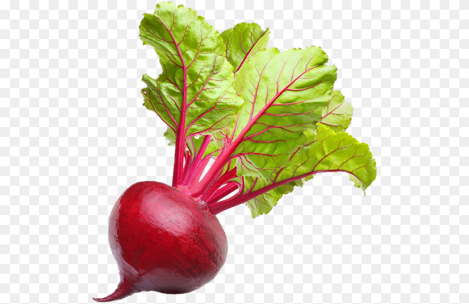 Beet Vegetable, Food, Plant, Produce, Radish Png