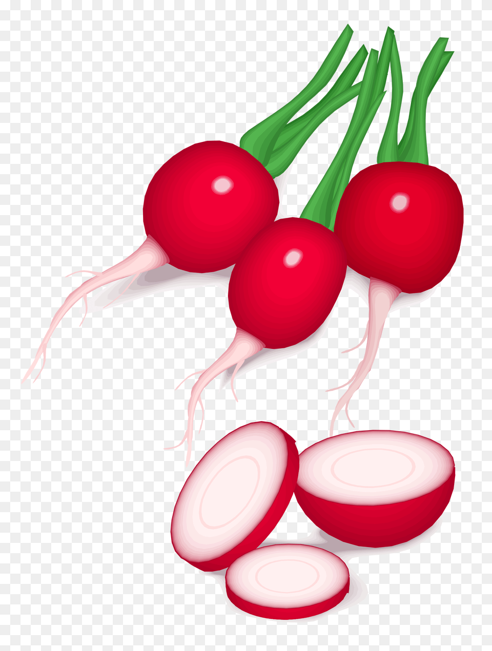 Beet Vegetable Vector Clipart Food, Plant, Produce, Radish Png Image