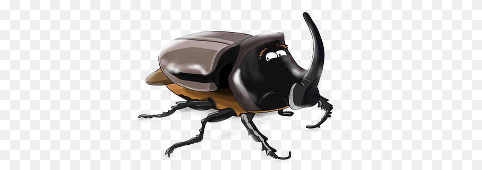Beetle Animal, Appliance, Blow Dryer, Device Free Transparent Png