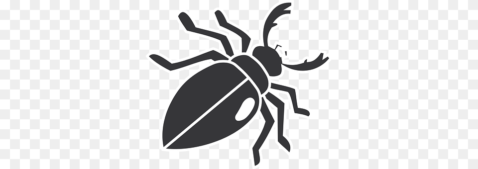 Beetle Animal, Bee, Insect, Invertebrate Png