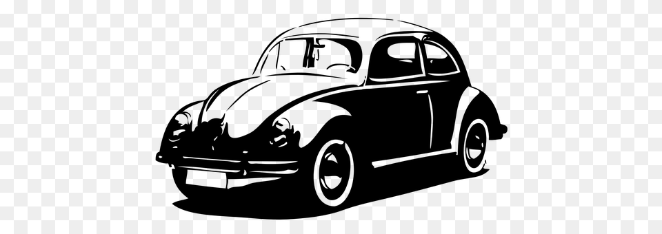 Beetle Gray Free Transparent Png