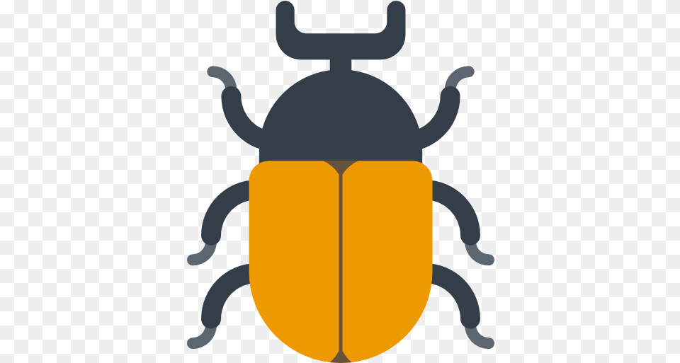 Beetle Beetle Icon, Animal, Baby, Person, Dung Beetle Png