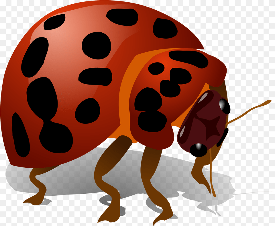 Beetle Bug Bug Clip Art, Animal, Bear, Mammal, Wildlife Png