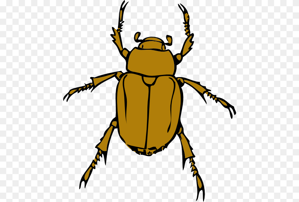 Beetle Bug Clip Art, Animal, Person, Dung Beetle, Insect Free Transparent Png