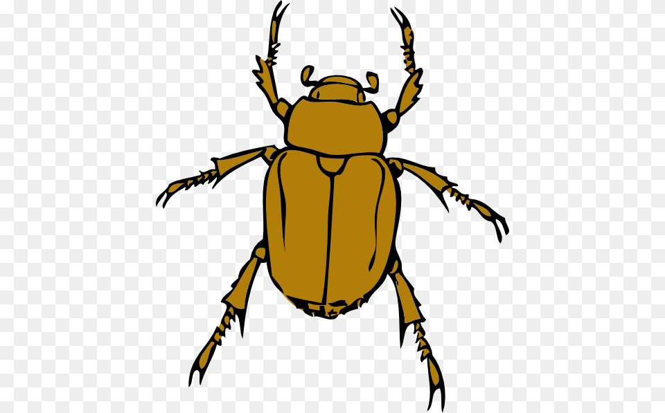 Beetle Bug Clip Art, Animal, Dung Beetle, Insect, Invertebrate Free Png Download